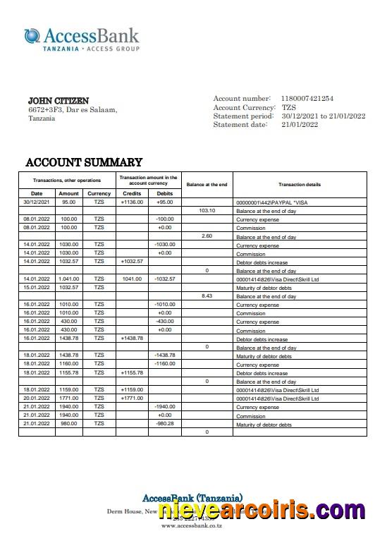 Tanzania Access Bank statement in Word and PDF format